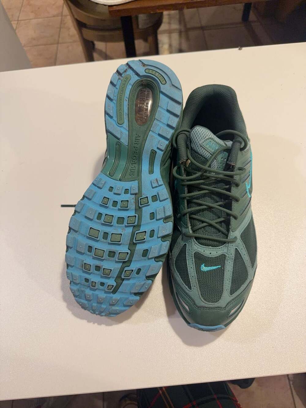 Buy Nike Air Pegasus 2005 Men's Shoes - Fir/Bicoastal/Dusty Cactus/Fir